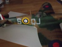 DSCF3929.jpg