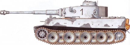 tiger10.jpg