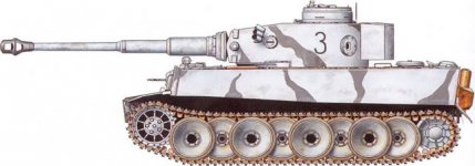 tiger11.jpg