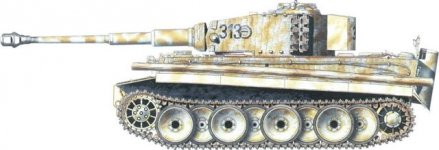 tiger12.jpg