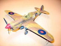 P-40E_AMTech_01.jpg