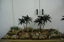 DSC01507.jpg