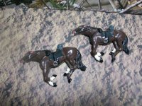 2 dead horses.jpg