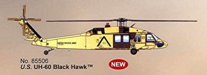 Black Hawk.jpg