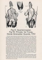 1st Horse Grenadiers 1751.jpg