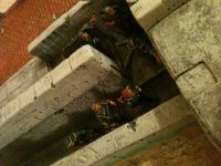 photo 5.JPG photo 5.JPG