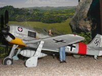 DSCN1557.JPG