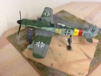 41D44995.jpg