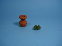 plant3.JPG