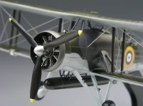 Swordfish_2.jpg