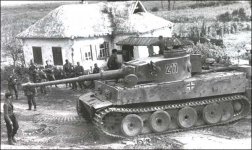 tiger1-spzabt503-01.jpg