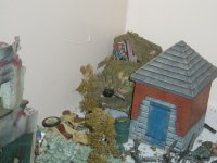 003.JPG