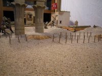 DSCN1862 (Large).JPG