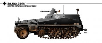 p1b.jpg