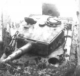 Tiger_I_213_sPzAbt503_wreck.jpg