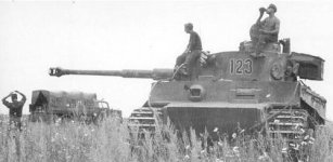tiger02z.jpg