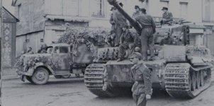 tiger503ab1.jpg