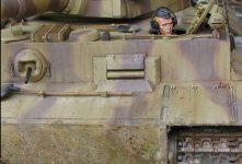 tiger1k.jpg