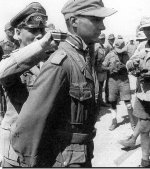 rommel-gives-knight's-award-gunther-halma-north-africa-july-1942.jpg