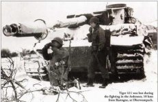 tiger-411.jpg