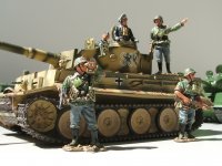 4 Tiger.JPG