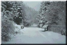 sneeuw 2.jpg