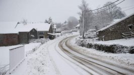 sneeuw 3.jpg