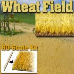 Wheat field.jpg