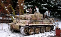 Tiger in the snow.jpg