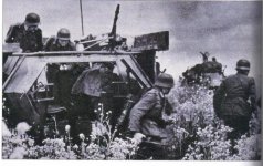 Panzergrenadiers and their SdKfz-251 half-track_2.jpg