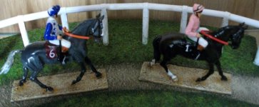 Reliable Man & The Fugue in the paddock.JPG