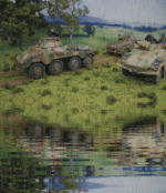 Raining & Water Affect German Pumas.gif