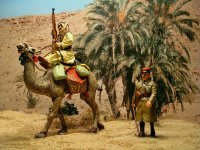 walkcameltsmb.jpg
