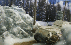 Snow falling on Pumas 2.gif