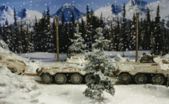 Snow falling on Pumas 3.gif