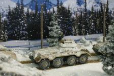 Snow falling on Pumas 4.gif