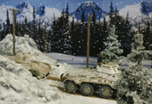 Snow falling on Pumas 5.gif