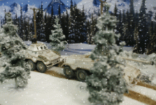 Snow falling on Pumas 1.gif