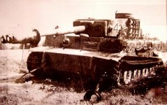 tigeriardennen1.jpg