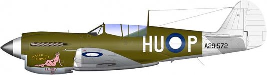 p-40n-watch-my-form-port.jpg
