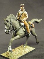 ConfederateCavalryLowRes12.2012.6.jpg