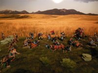 Custer's Battle 023.JPG