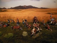 Custer's Battle 024.JPG