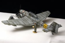 Stuka1 sm.jpg