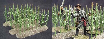 CornFieldLink.jpg