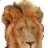 richoldlion