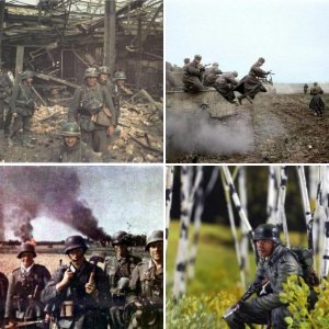 German Arms and Armies of WWII, Eastern Front 1942/43