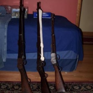 Martini Henry Rifles