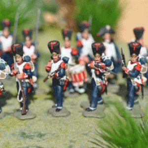 Victrix Napoleonic