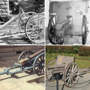 German Mountain gun